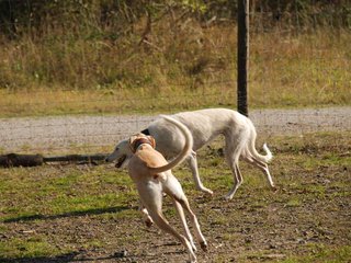 2009-09-20_ntb_8252