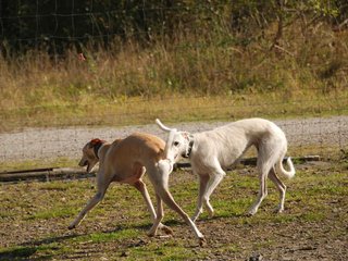 2009-09-20_ntb_8253