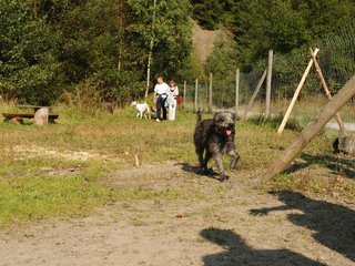 2009-09-20_ntb_8254