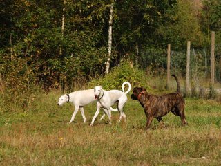 2009-09-20_ntb_8255