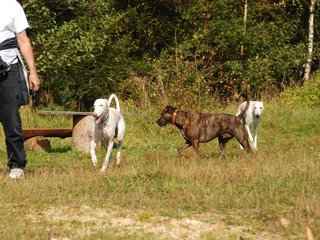 2009-09-20_ntb_8256