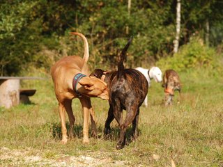 2009-09-20_ntb_8257