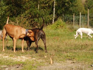 2009-09-20_ntb_8258