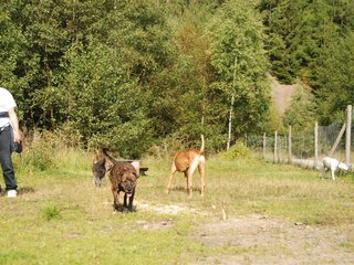 2009-09-20_ntb_8259