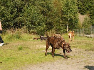 2009-09-20_ntb_8260