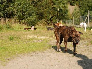 2009-09-20_ntb_8261