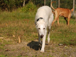 2009-09-20_ntb_8263