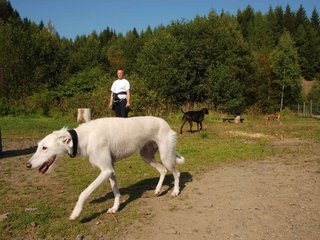 2009-09-20_ntb_8264
