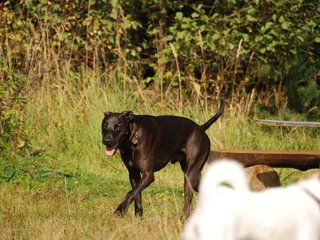 2009-09-20_ntb_8266