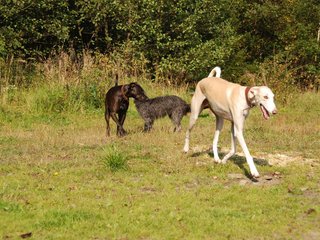 2009-09-20_ntb_8267