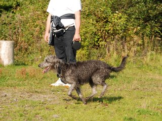 2009-09-20_ntb_8268