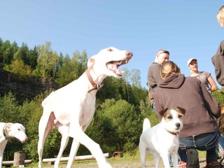 2009-09-20_ntb_8272