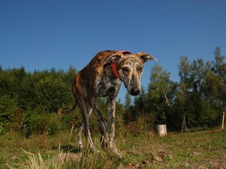 2009-09-20_ntb_8276