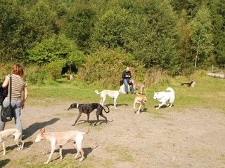 2009-09-20_ntb_8286