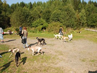 2009-09-20_ntb_8287