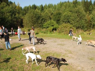 2009-09-20_ntb_8288