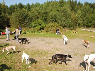 2009-09-20_ntb_8289