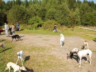 2009-09-20_ntb_8290