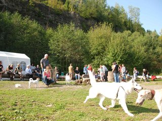 2009-09-20_ntb_8295