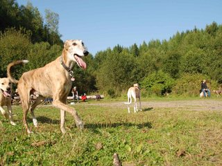 2009-09-20_ntb_8296