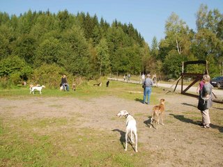 2009-09-20_ntb_8297