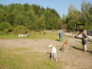 2009-09-20_ntb_8298