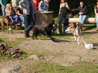 2009-09-20_ntb_8301