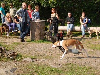 2009-09-20_ntb_8302