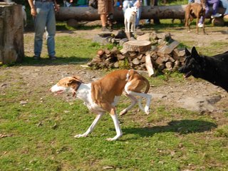 2009-09-20_ntb_8303