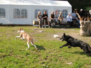 2009-09-20_ntb_8304