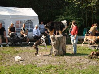 2009-09-20_ntb_8306