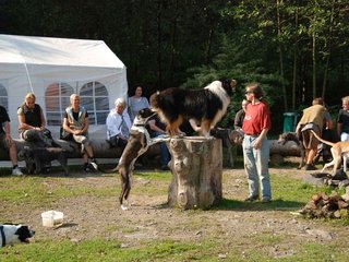 2009-09-20_ntb_8307