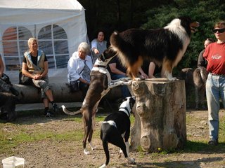 2009-09-20_ntb_8309