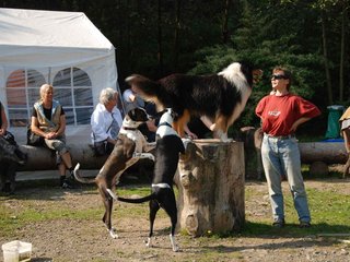 2009-09-20_ntb_8310