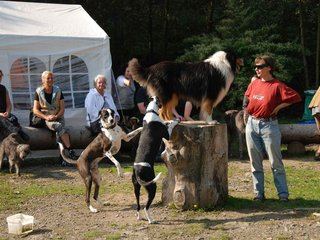 2009-09-20_ntb_8311