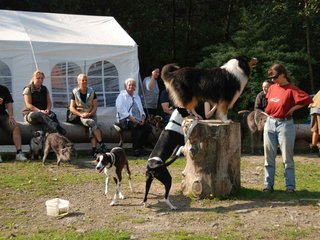 2009-09-20_ntb_8312