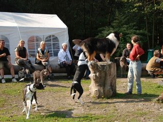 2009-09-20_ntb_8313