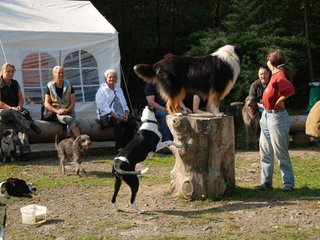 2009-09-20_ntb_8314