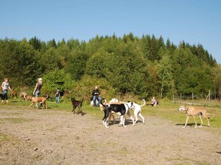2009-09-20_ntb_8317