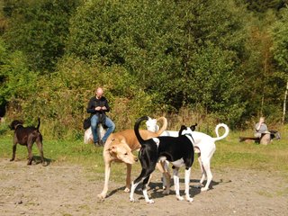 2009-09-20_ntb_8318