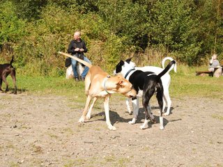 2009-09-20_ntb_8319