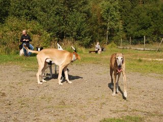 2009-09-20_ntb_8320