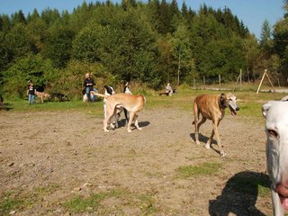 2009-09-20_ntb_8321