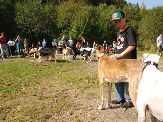 2009-09-20_ntb_8324