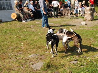 2009-09-20_ntb_8328
