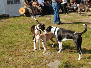 2009-09-20_ntb_8329