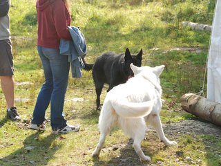 2009-09-20_ntb_8339