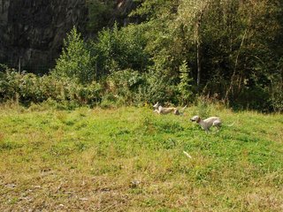 2009-09-20_ntb_8347
