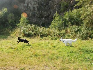 2009-09-20_ntb_8348