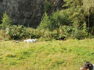 2009-09-20_ntb_8349